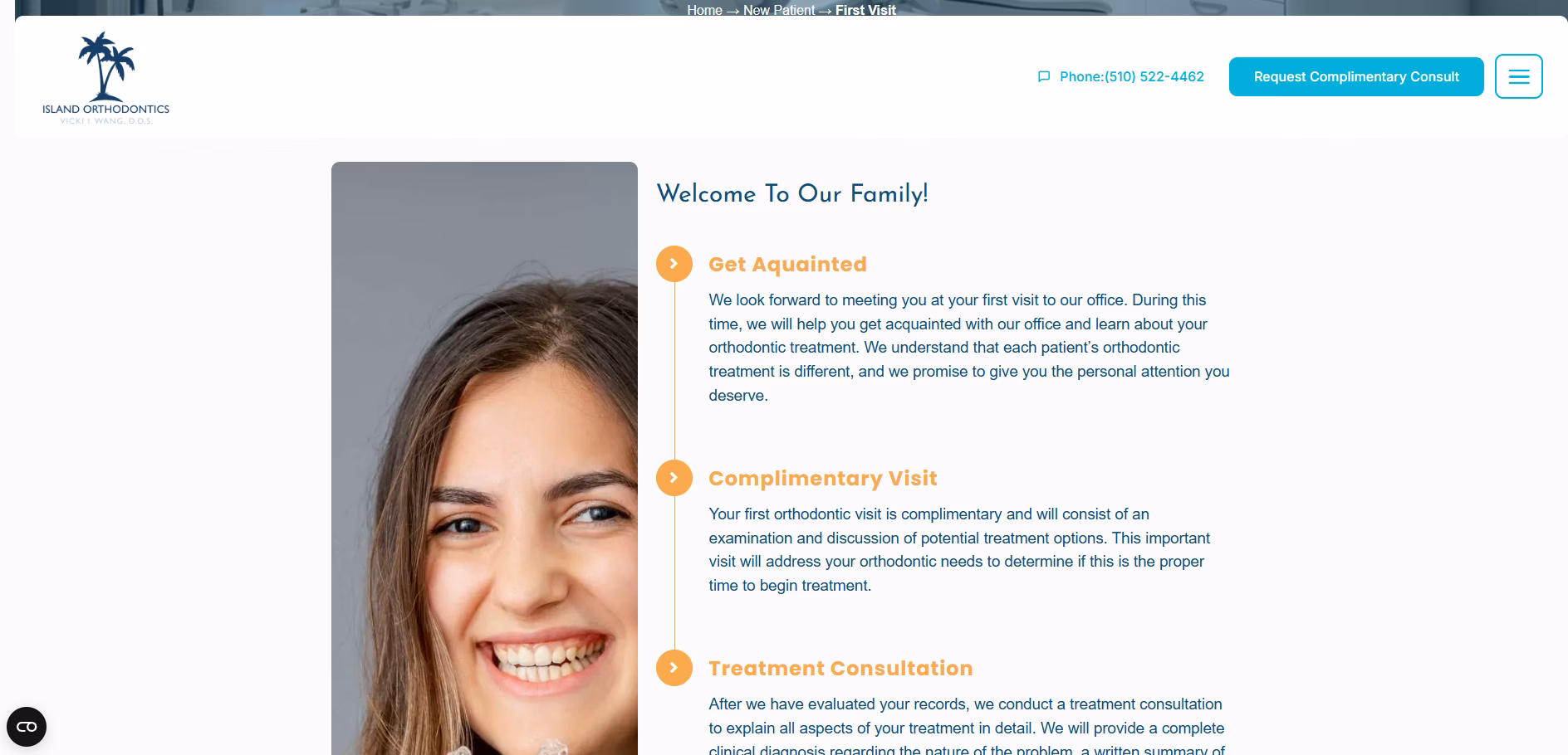 Island Braces website detail